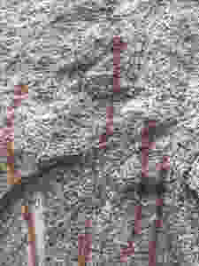 Pericúes or Guaycura snakes rock art