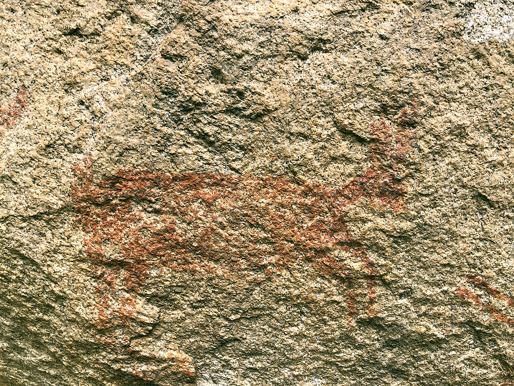 Pericúes or Guaycura rabbit rock art