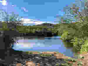 water's edge
