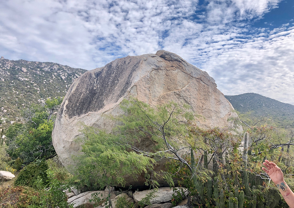 Giant boulder in the desert with rock art