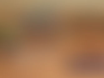 Les lunettes sur mesure adultes sont arrivées !!!