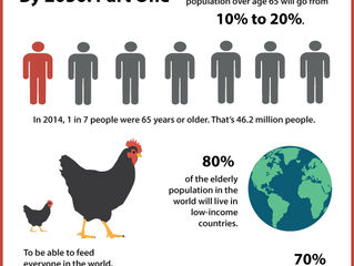 Future of Aging: How the Aging Population Will Affect the World by 2050 Part One