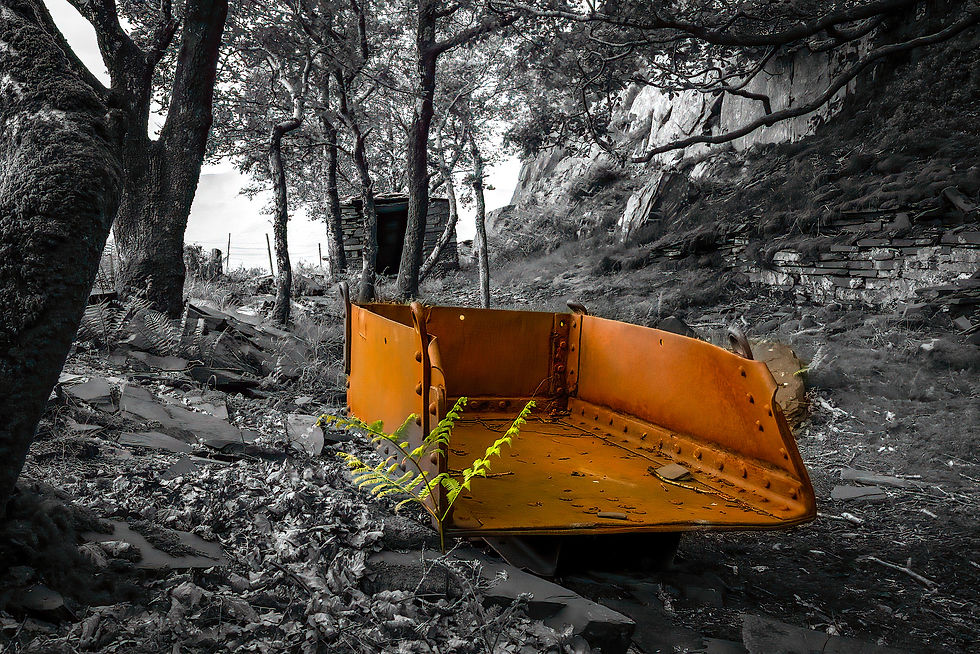 The same image as I had it in my mind when I took it, Not strictly monochrome, but the only item picked out in colour adds contrast to the monochrome bulk of the image, 