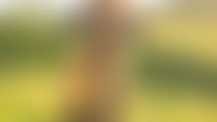 Colour or Monochrome?