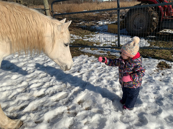Pearl in NY with Willa