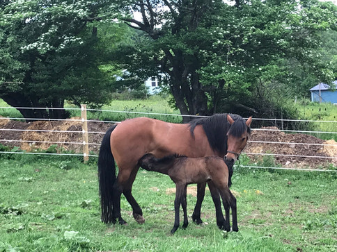 Giselle with Coraline in 2018