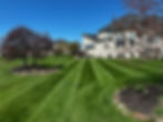 IMG_0664.jpeg