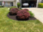Bushes and landscaping area with fresh mulch.