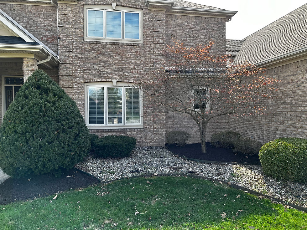 Landscaping in front of home.