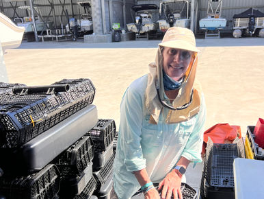Meet the Board: Dodie Sanders