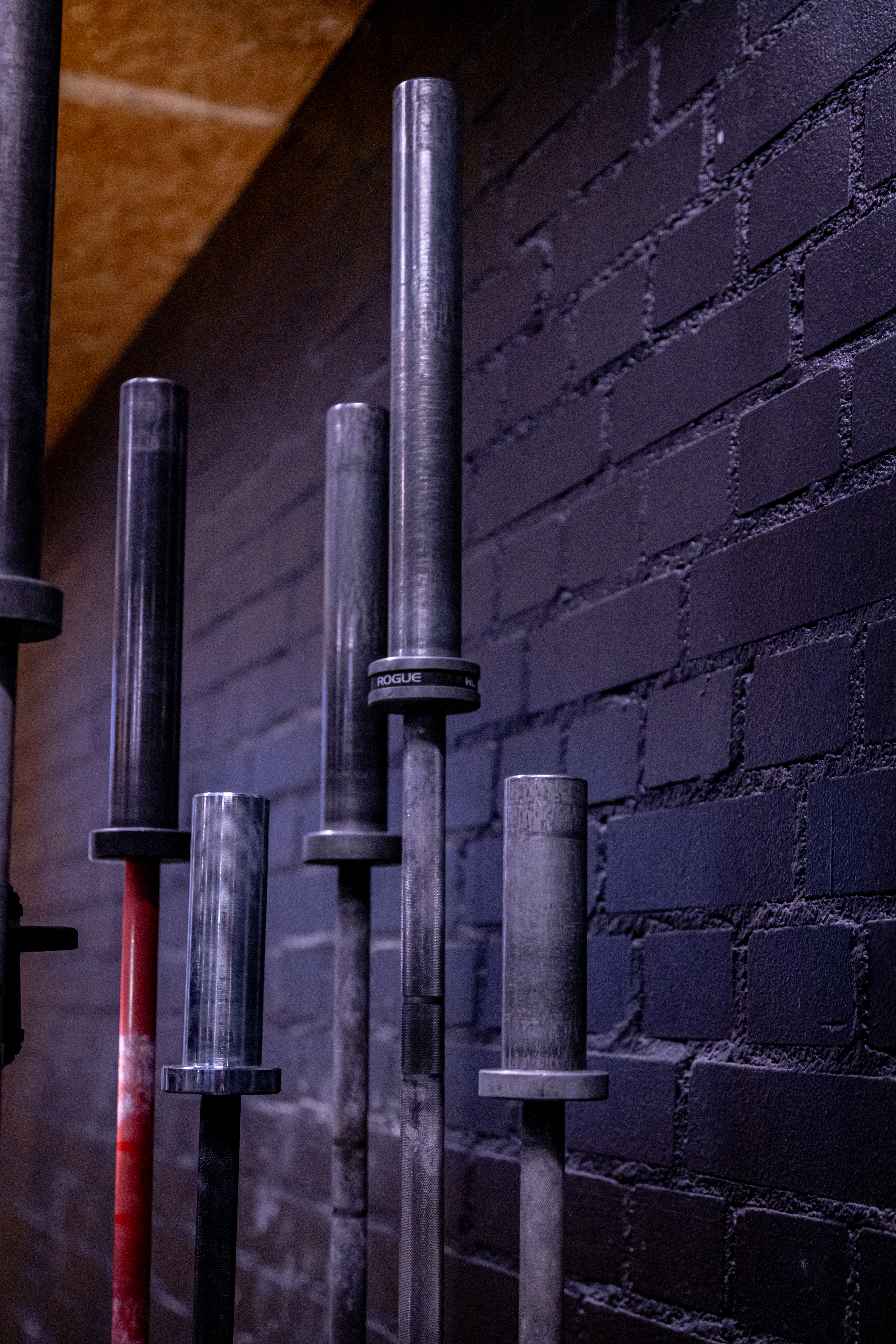 Photo 7.12.2024, 14.40.35.jpg