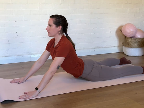 swan dive_edited.jpg