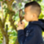 Madrona School K - Grade 8 Open House