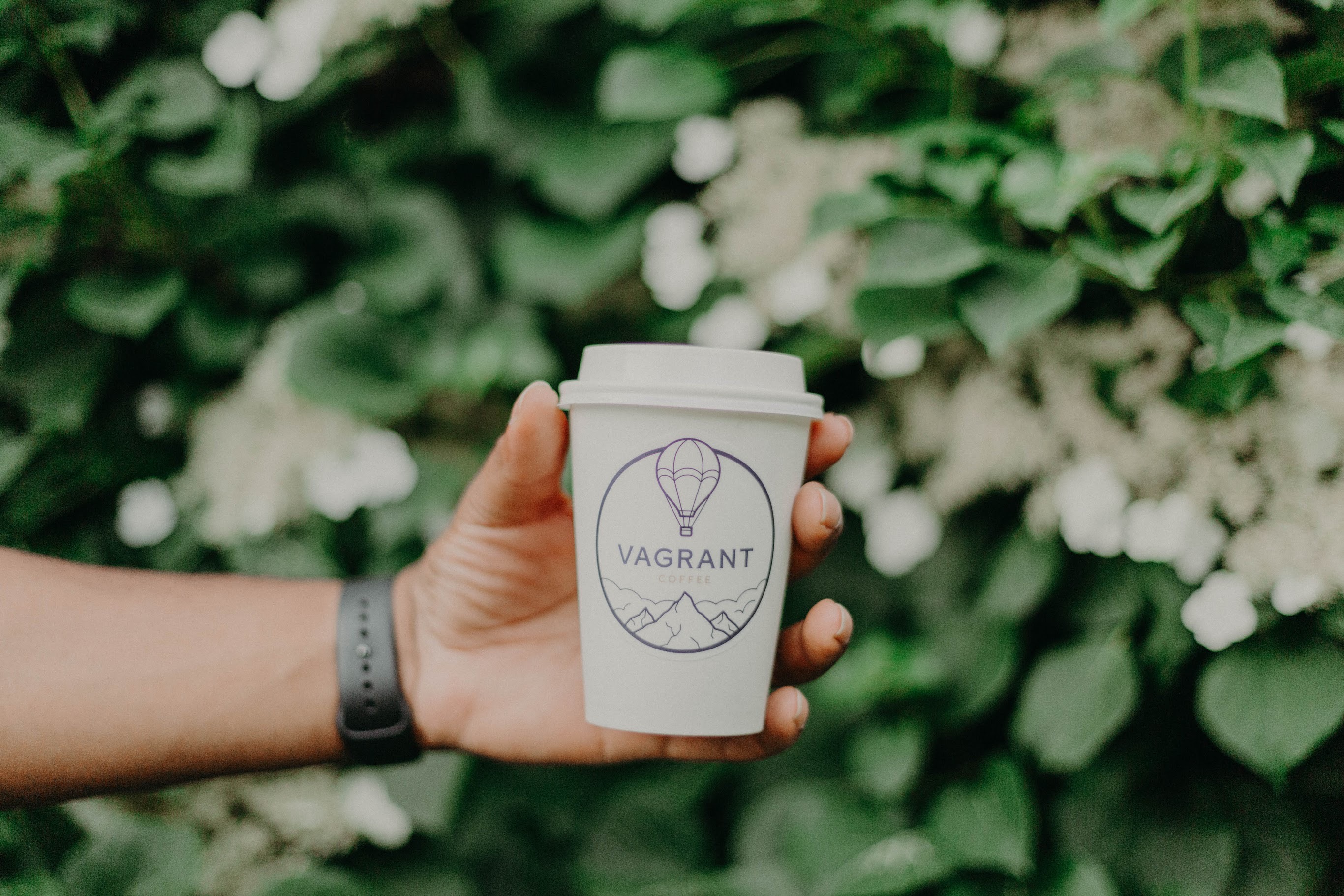 vagrant coffee vagrant coffee