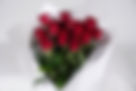 12 red roses .jpeg