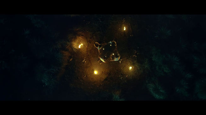 MV5BNDc0M2E5ZmUtMTUyNC00YTVlLTk1ODItZDM4YjcxYTYxZjA5XkEyXkFqcGdeQXVyNzA4NDIyNDg@._V1_SX177