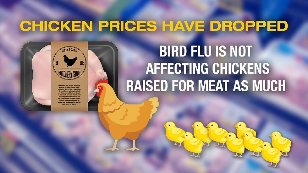 Grocery Prices - Eggs
