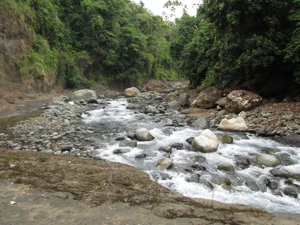Rainwater River