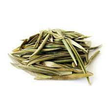oliveira folha 20 g