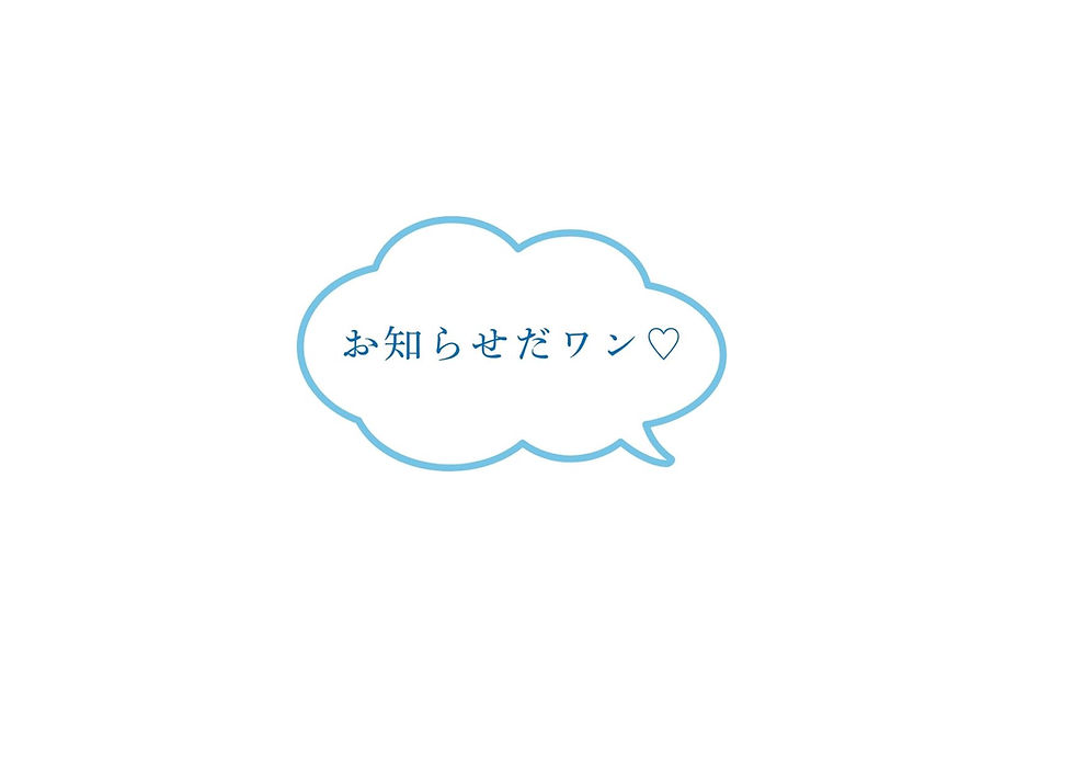 6月３０日　診療時間