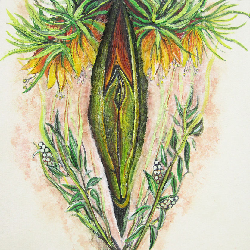 Jacqueline Secor, Painting Vulvae, vagina, vulva, body dysmorphia, diversity of nature, feminism, art show, interview, feature, howl magazine, new york, nyc, biology, painting, sculpture, painter, woman, nature