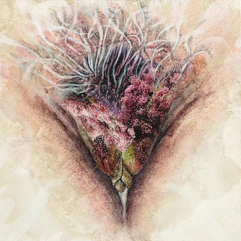 Jacqueline Secor, Painting Vulvae, vagina, vulva, body dysmorphia, diversity of nature, feminism, art show, interview, feature, howl magazine, new york, nyc, biology, painting, sculpture, painter, woman, nature, coral, ocean
