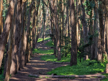 The Throughline: Keeping Your Data Story Connected