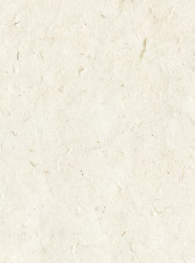 Fond Papier de Riz (2).png