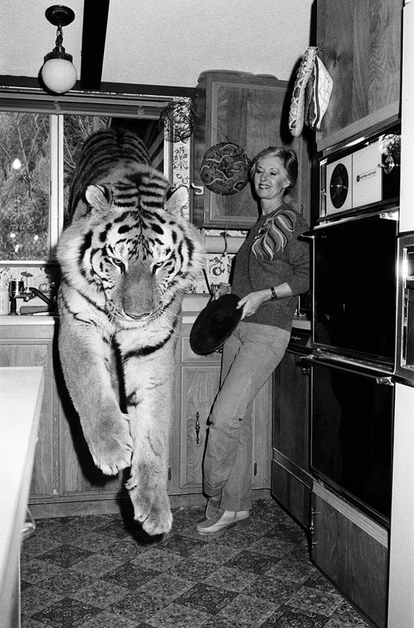 Actress, model, and animal rights activist Tippi Hedren is pictured with one of her pet tigers at home in Los Angeles in 1982. Dean once worked at her wildlife animal rescue.