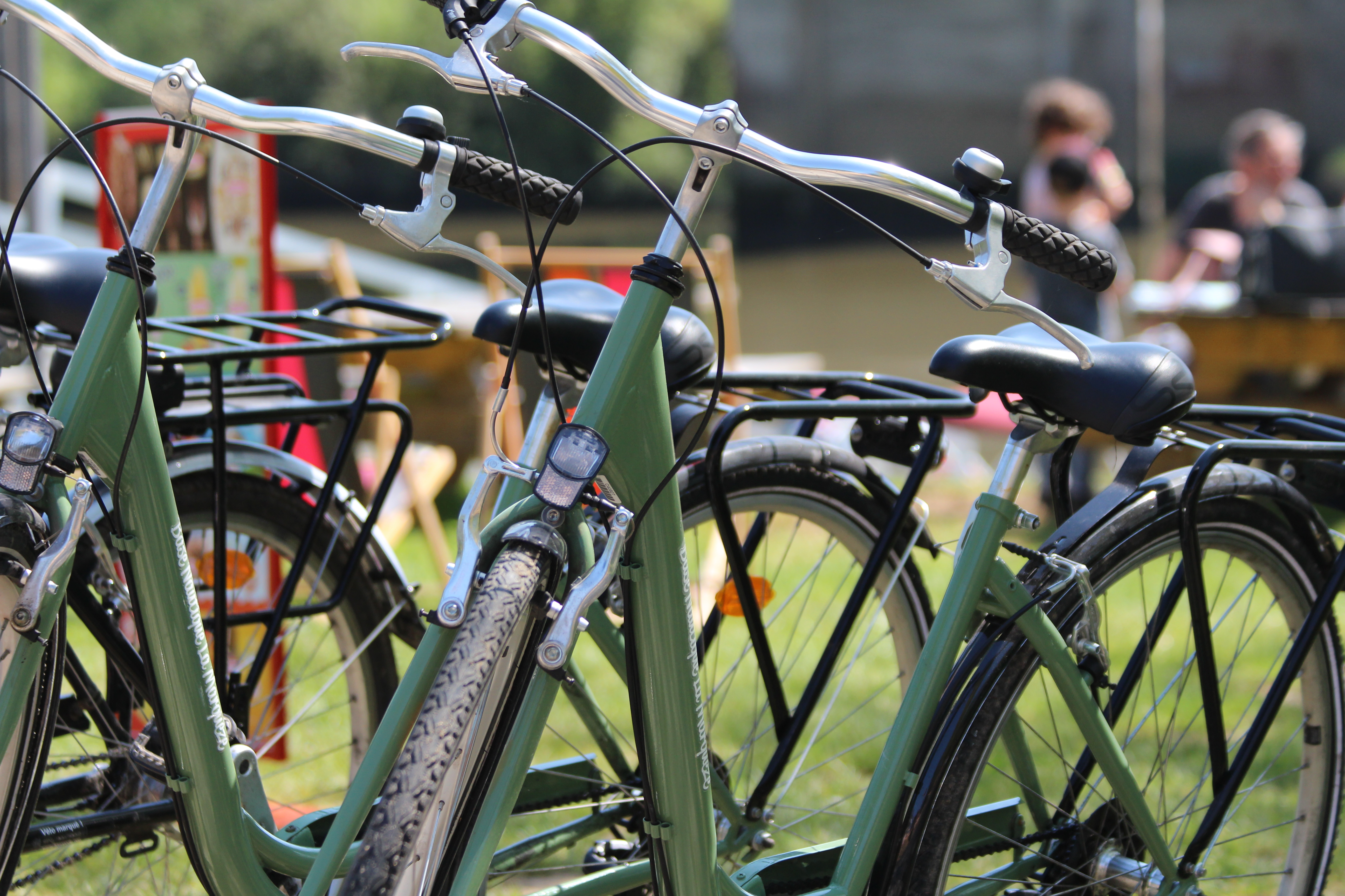 vélos adultes