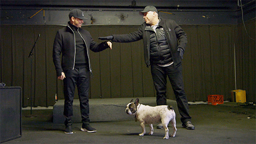 04_WAHL_76_Grab_Donnie-Dancing.gif