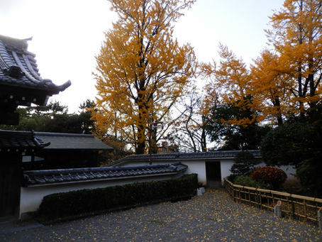 岡崎城は別名 龍ヶ城とも言うらしい