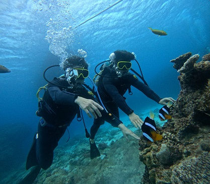 5月沖縄チービシ ダイビング