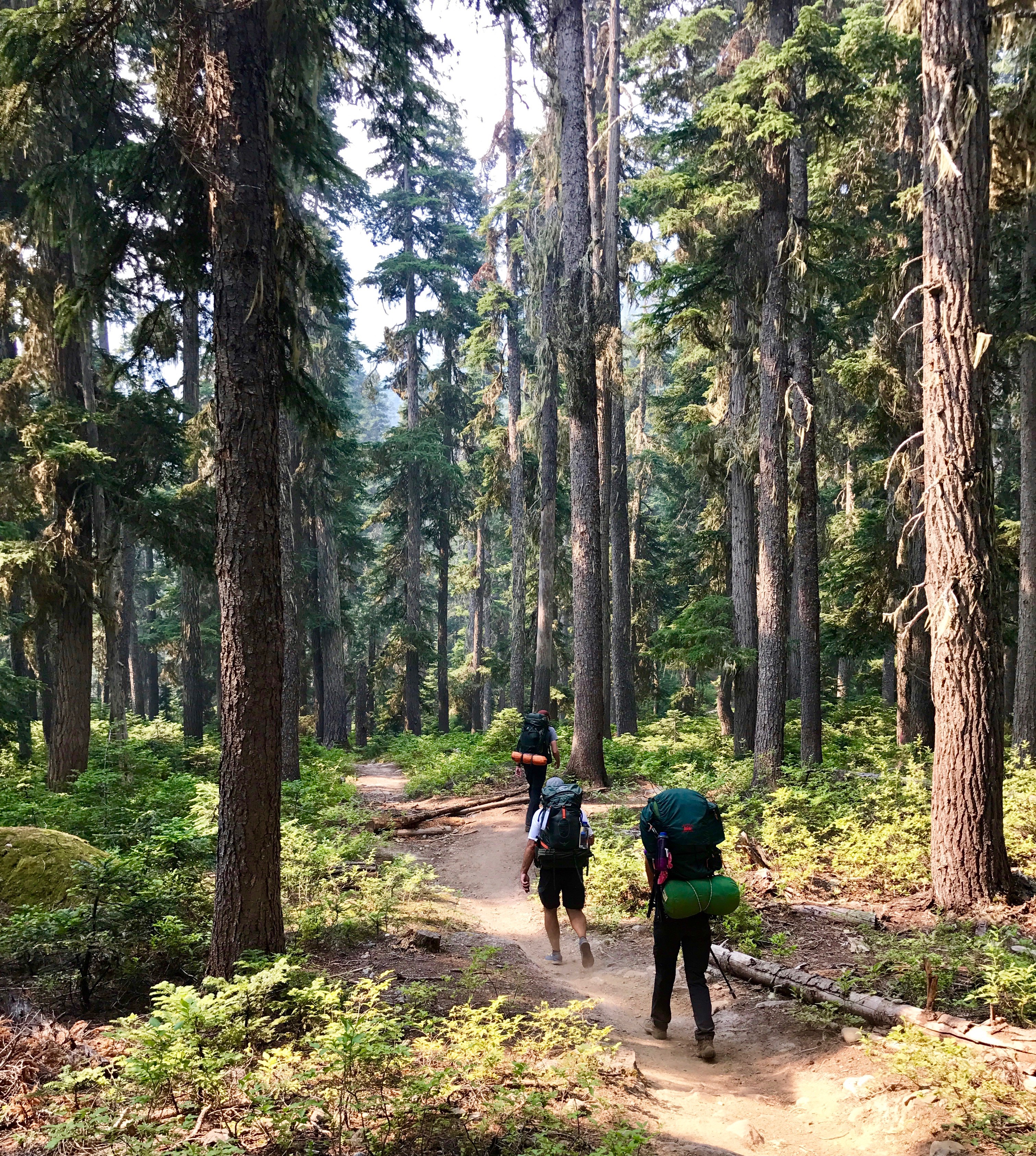 North Cascades National Park