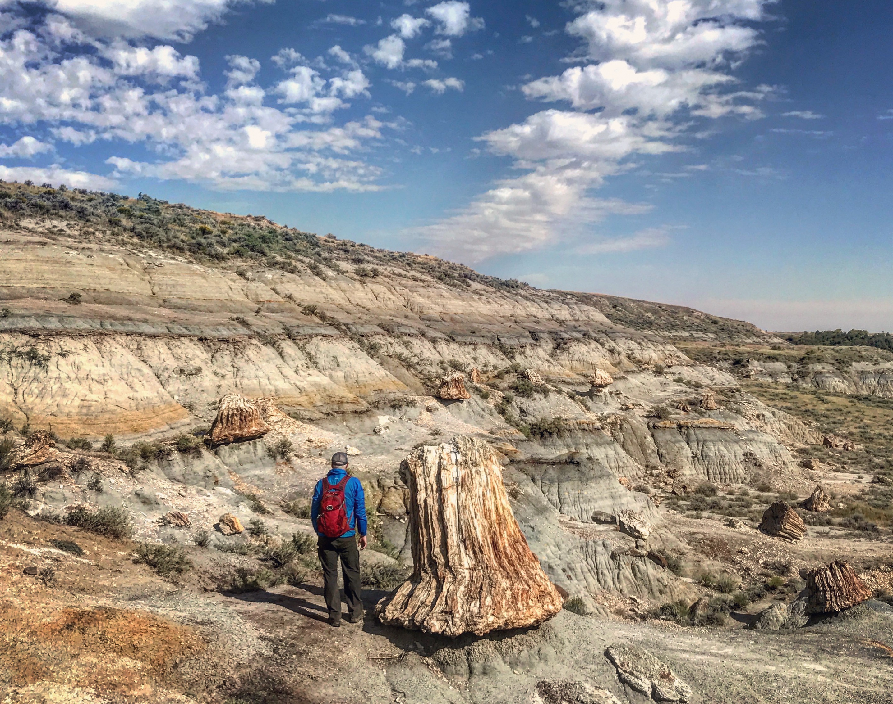 Matt next to a petrified tree stump