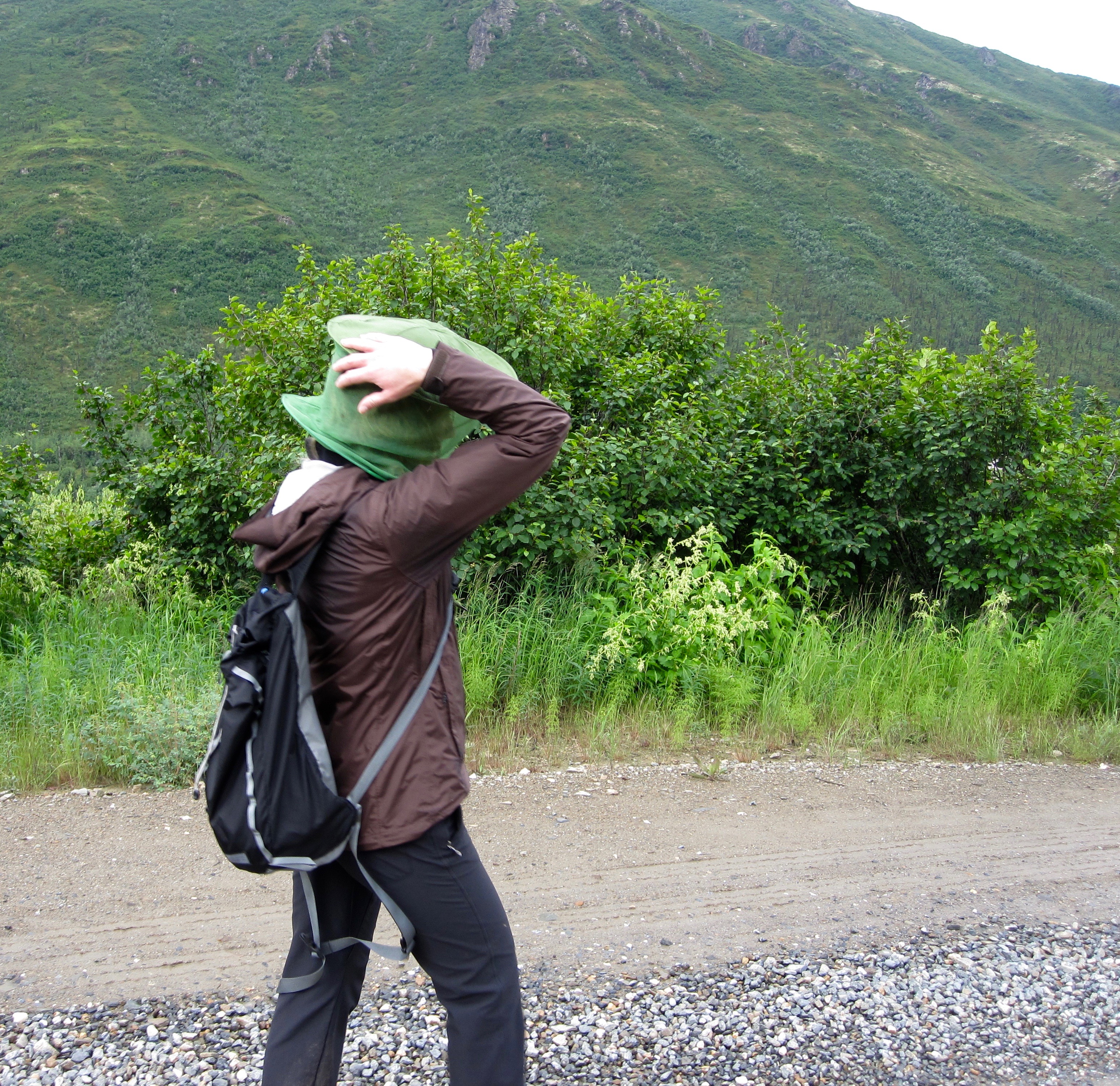 #13 Denali revisited
