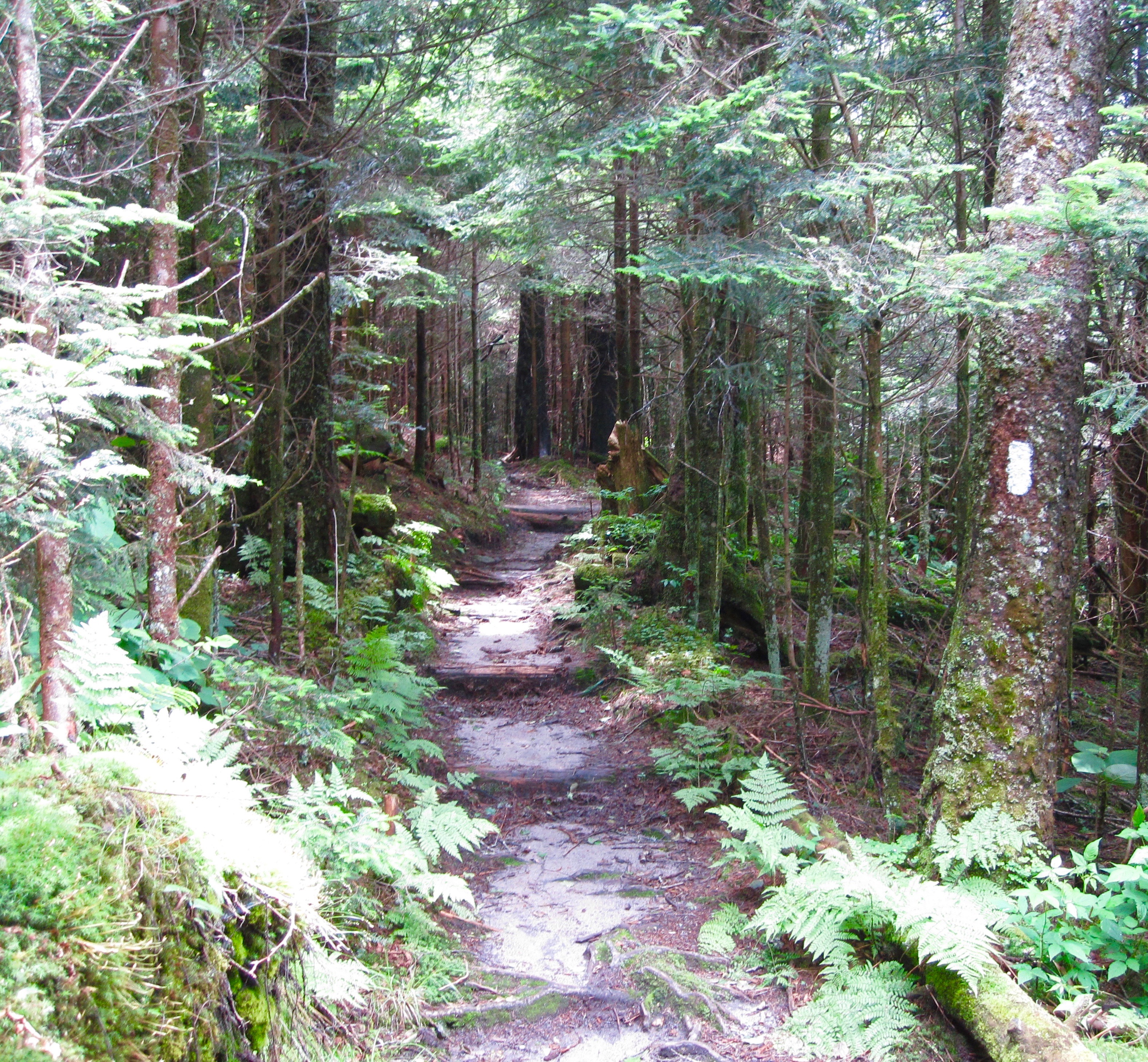 #48 Great Smoky Mountains N.P.