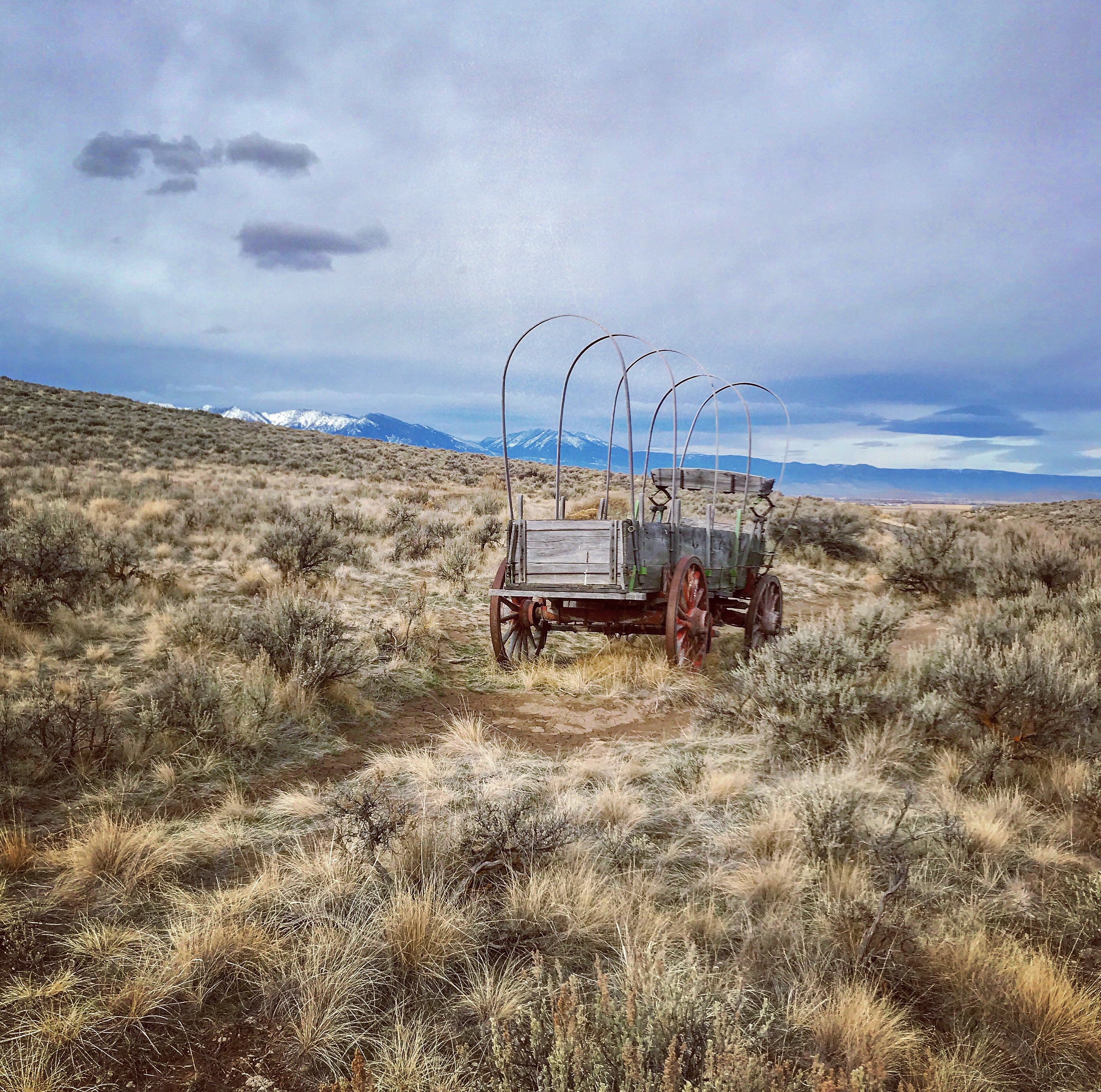 Oregon Trail wagon and ruts