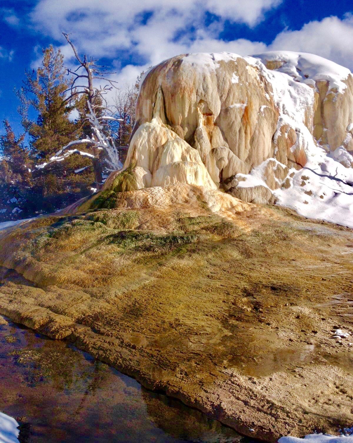 #42 Yellowstone National Park