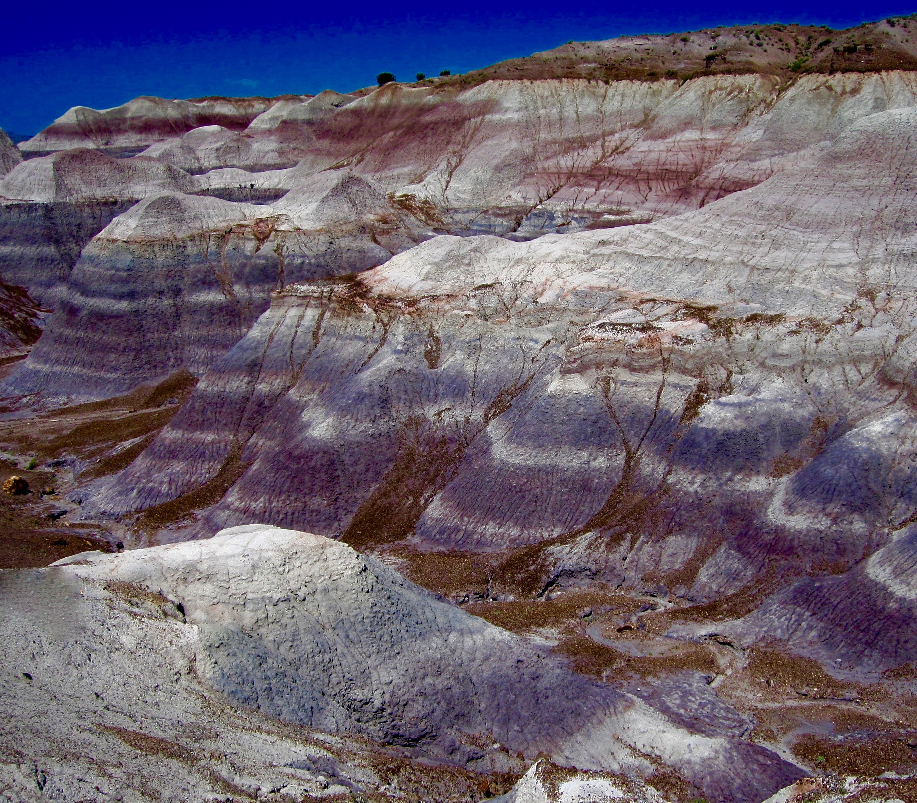 #9 Petrified Forest National Park