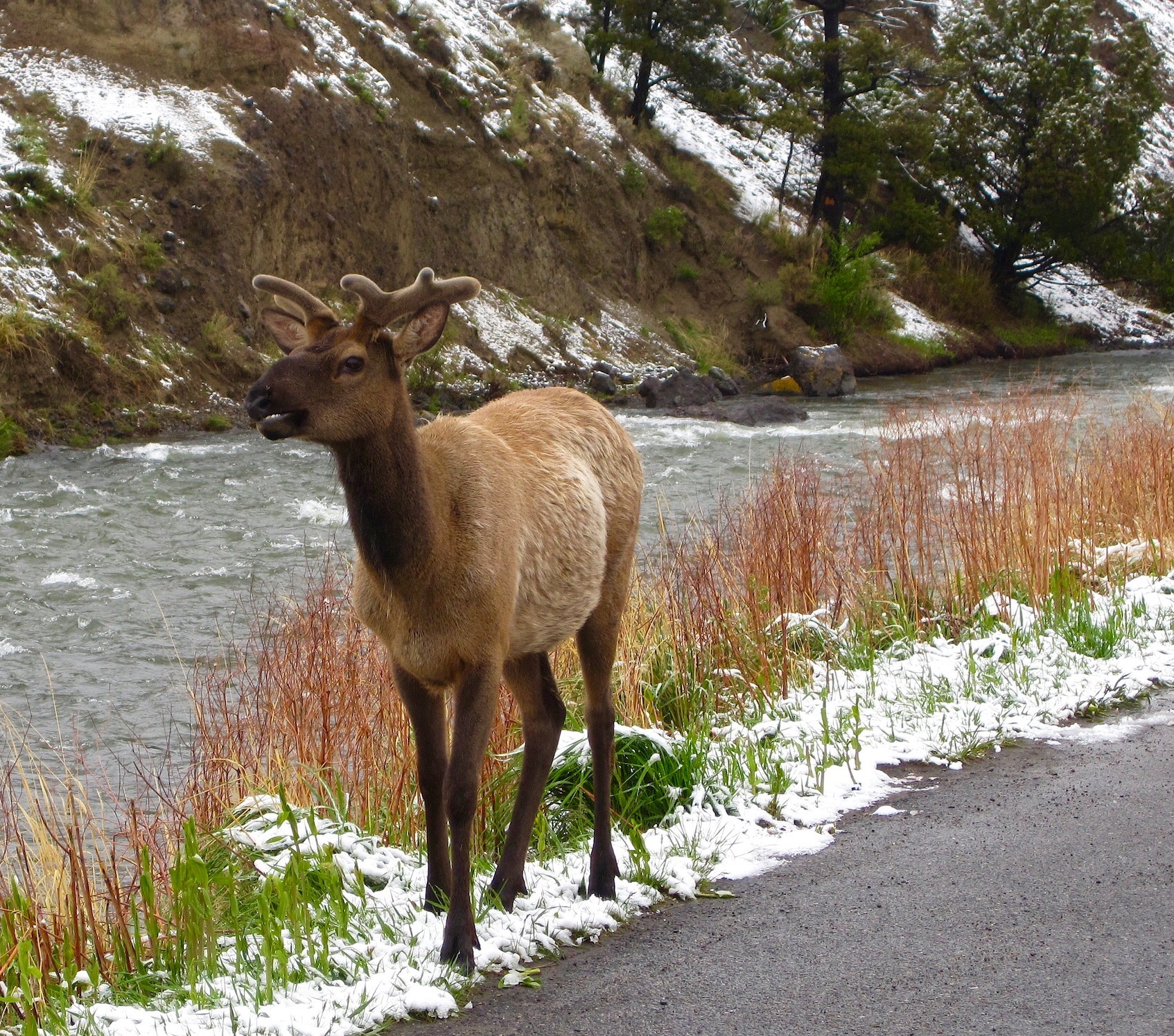 #43 Grand Teton revisited