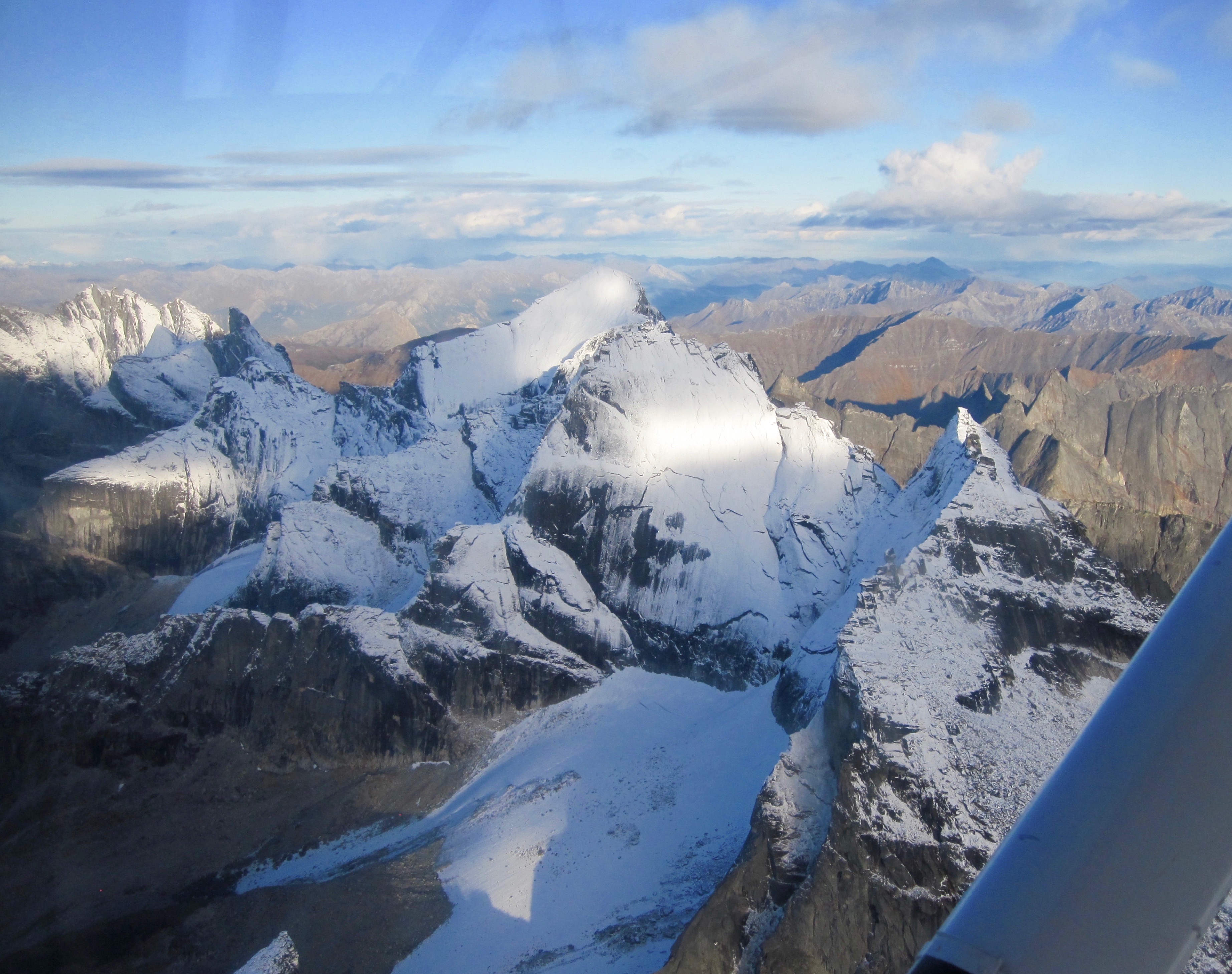 Flying Back to Bettles