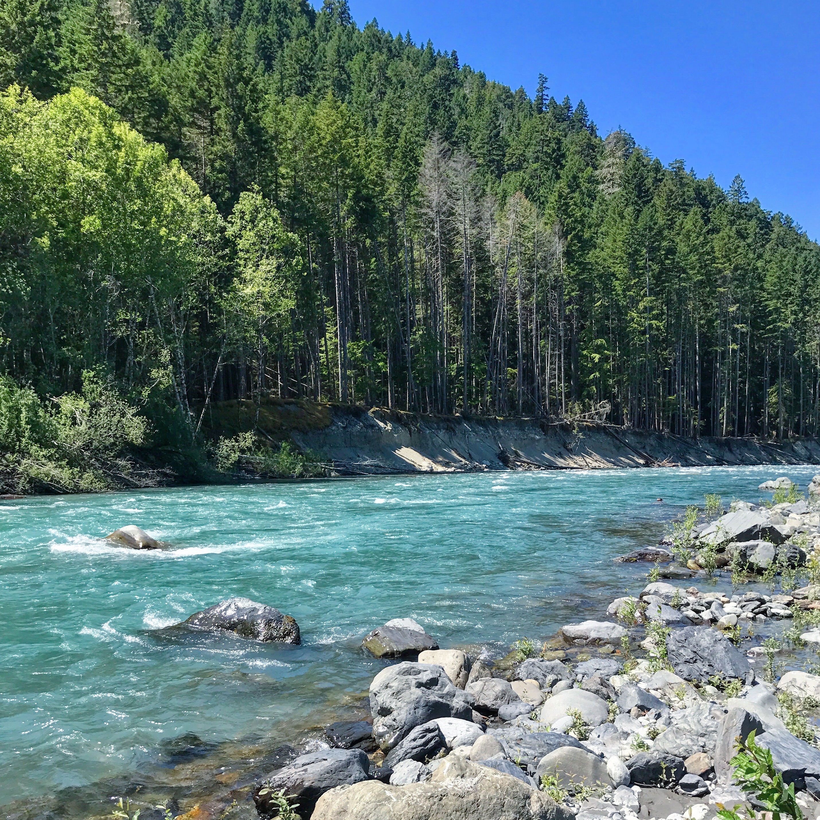 Olympic National Park