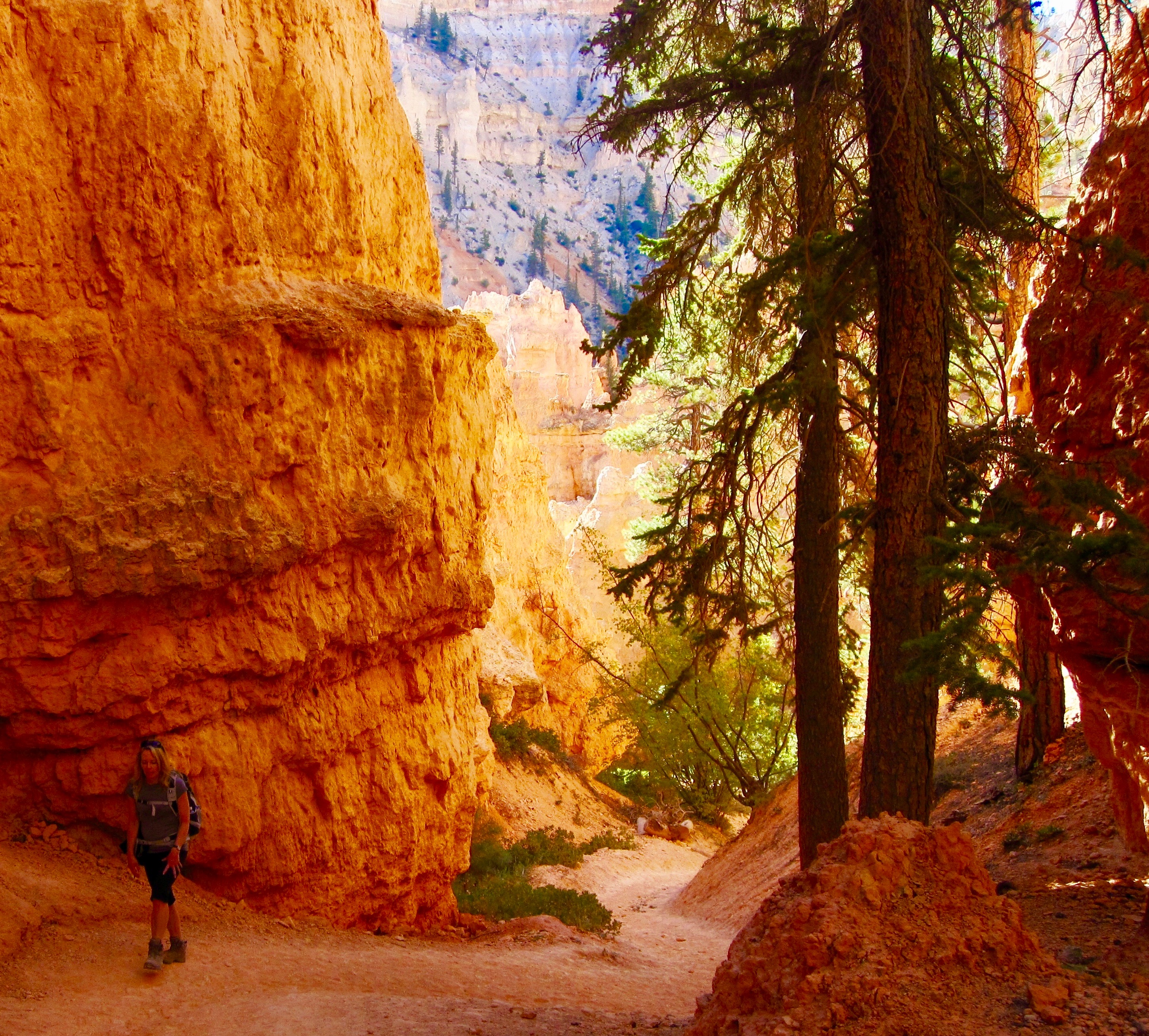 #23 Bryce Canyon National Park