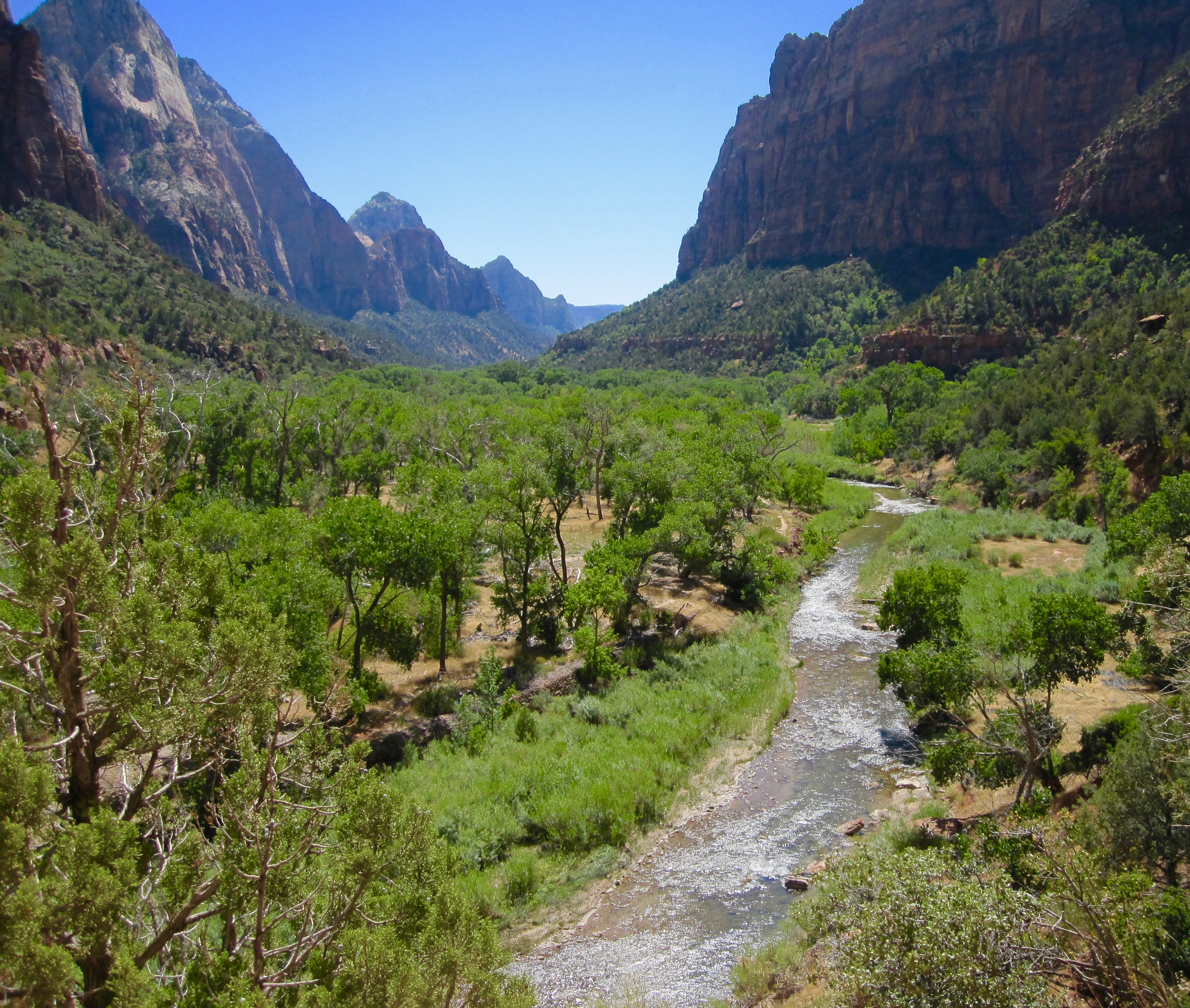 #22 Zion National Park
