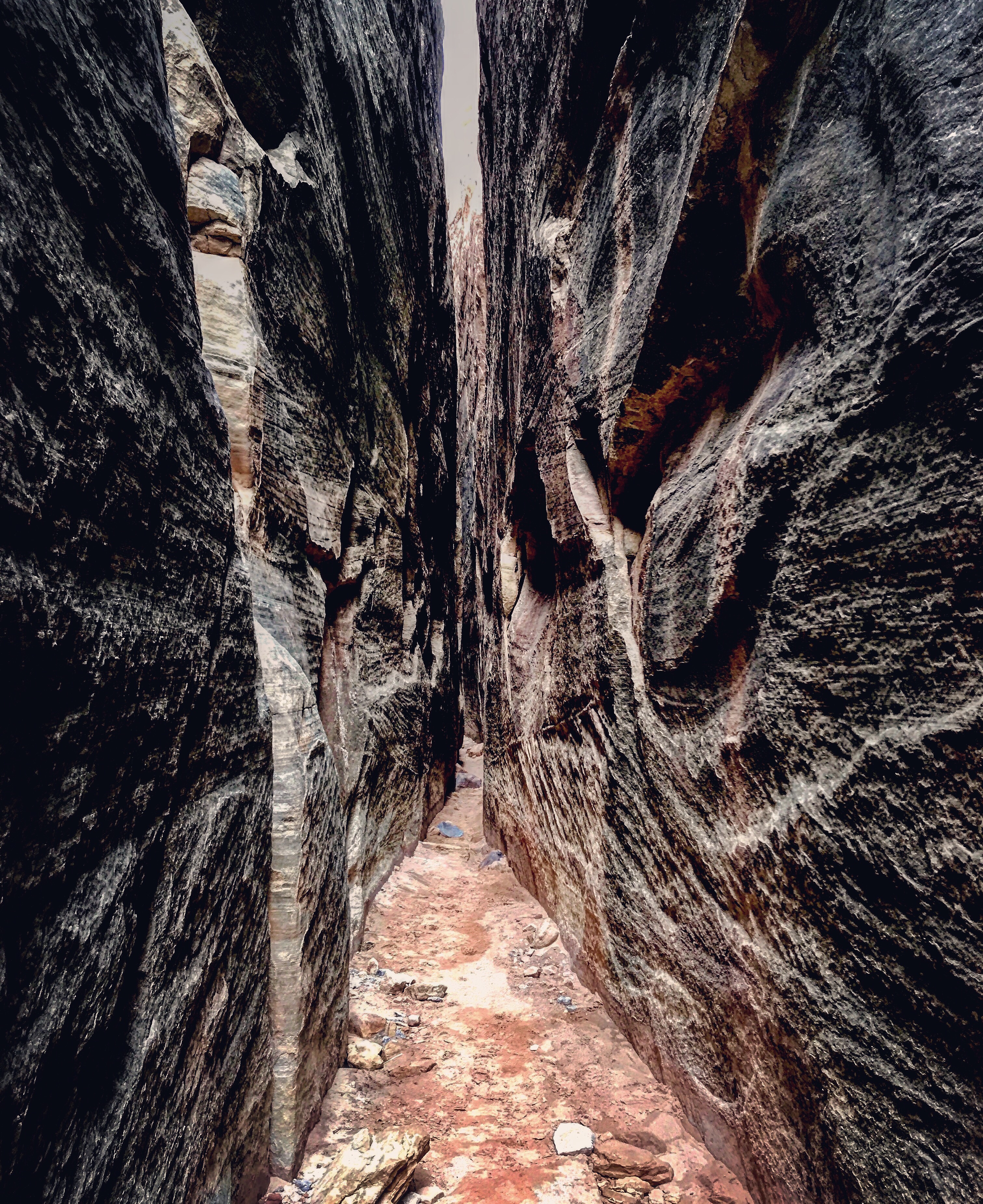 Inside the Joint, Joint Trail
