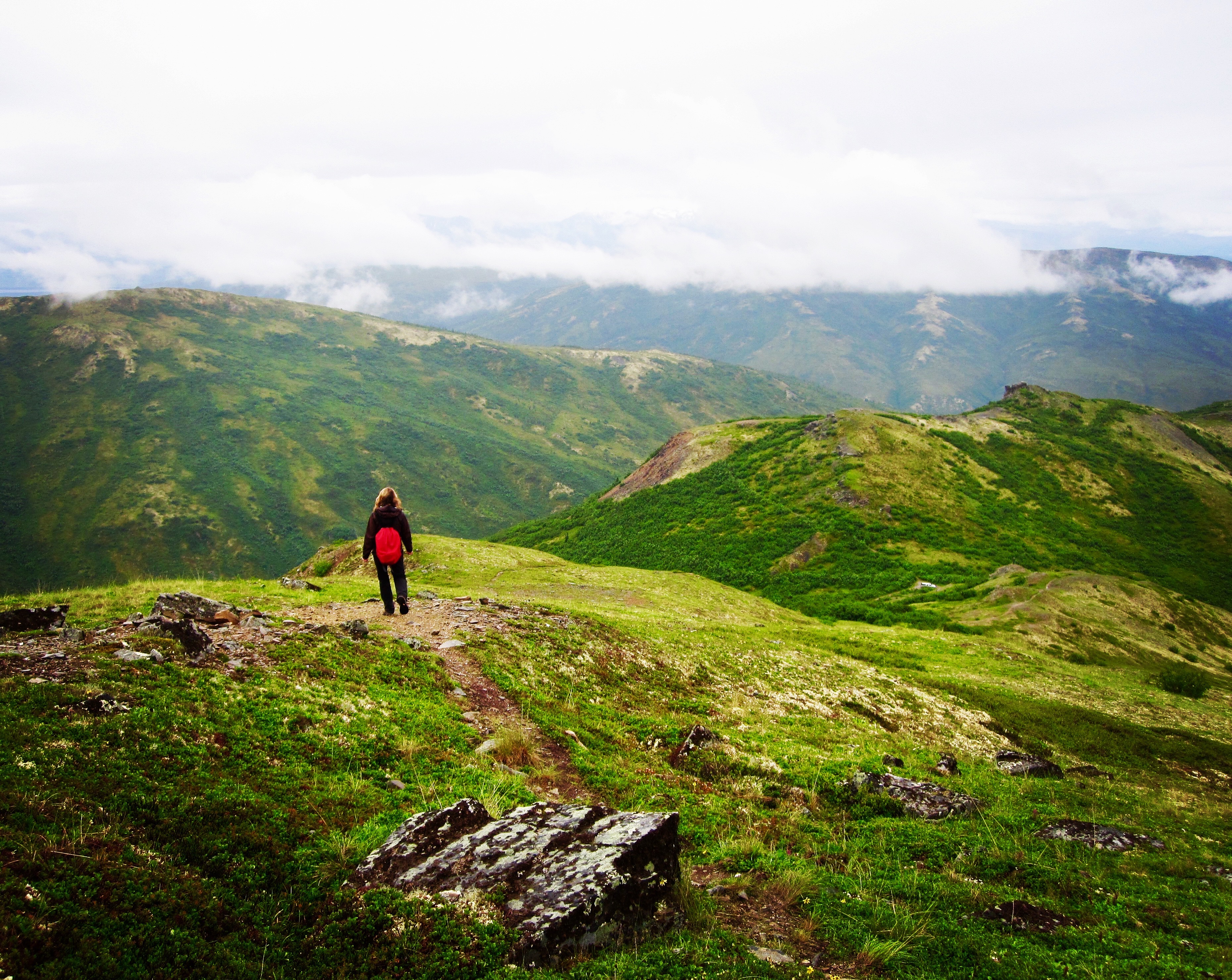 #13 Denali revisited