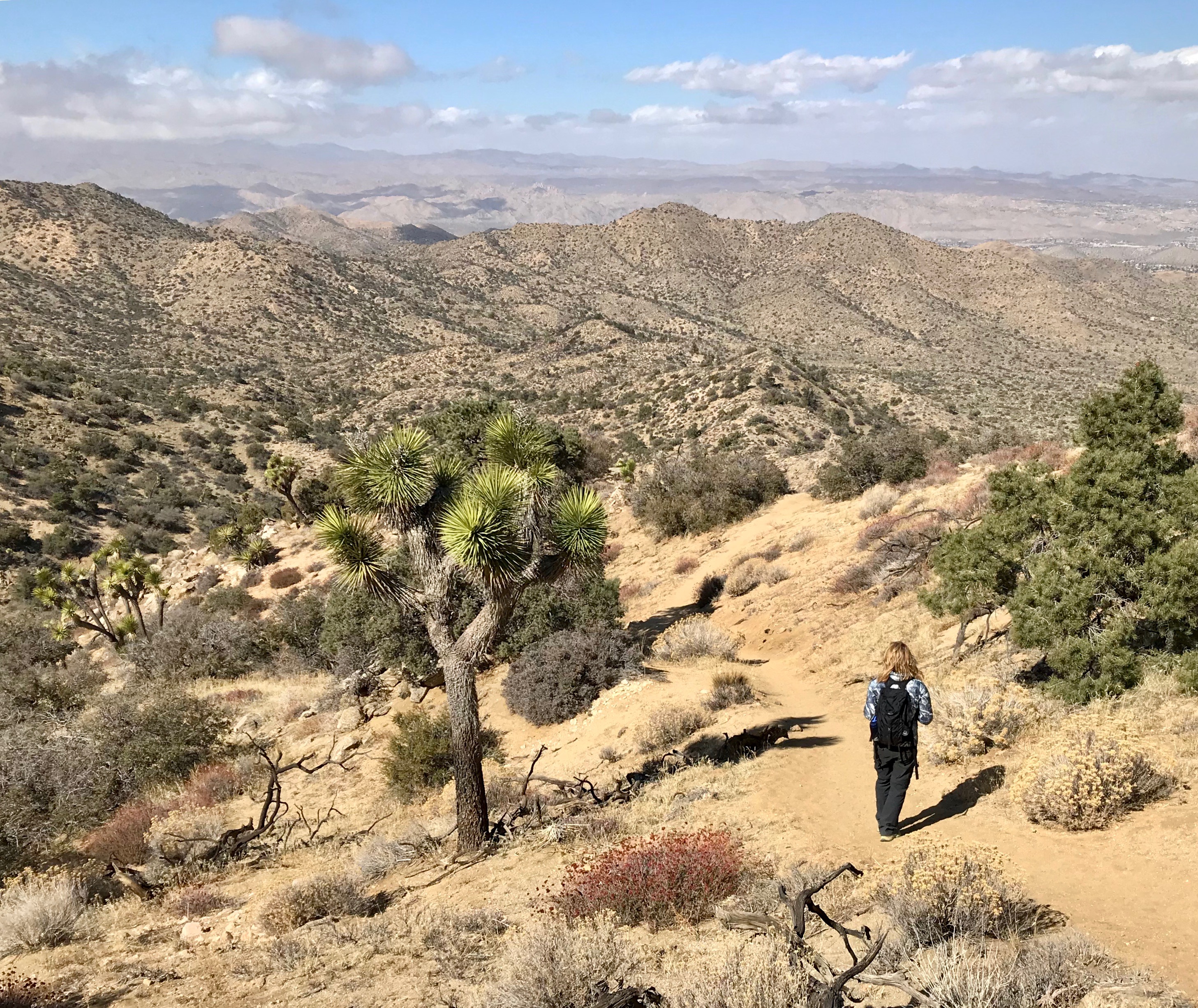 View from Panorama Loop Hike