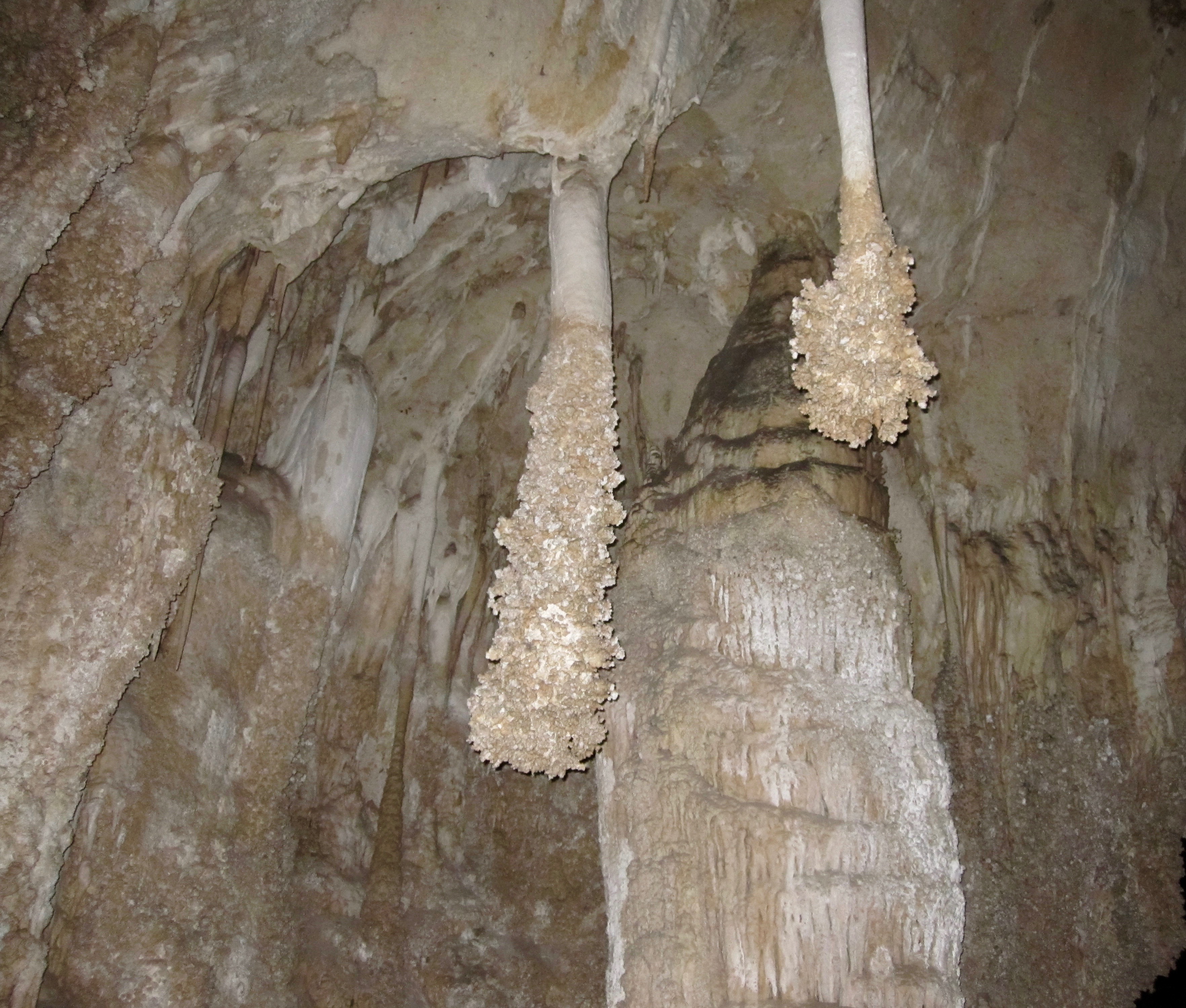 #31 Carlsbad Caverns National Park
