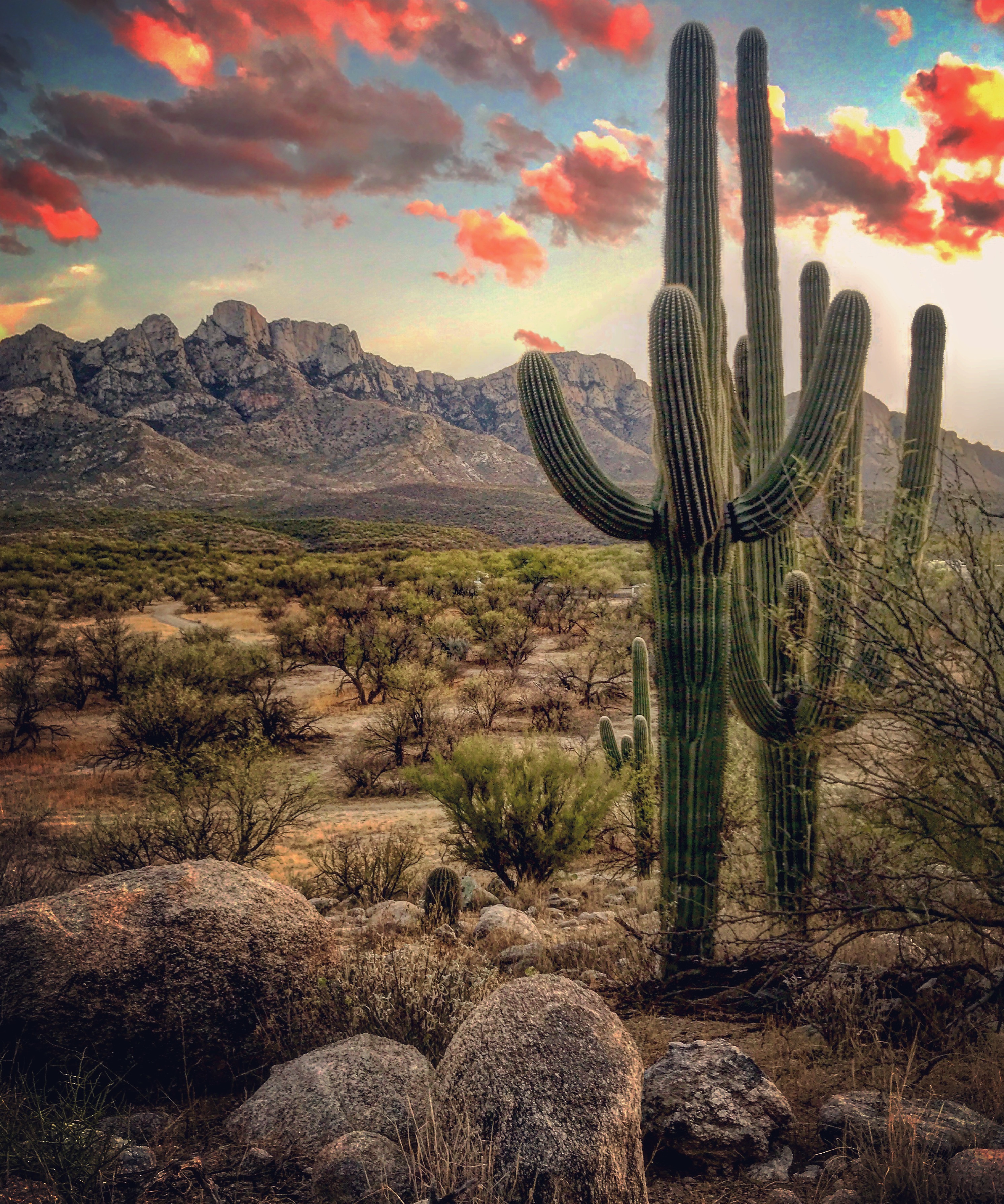 Sunset at Catalina State Park